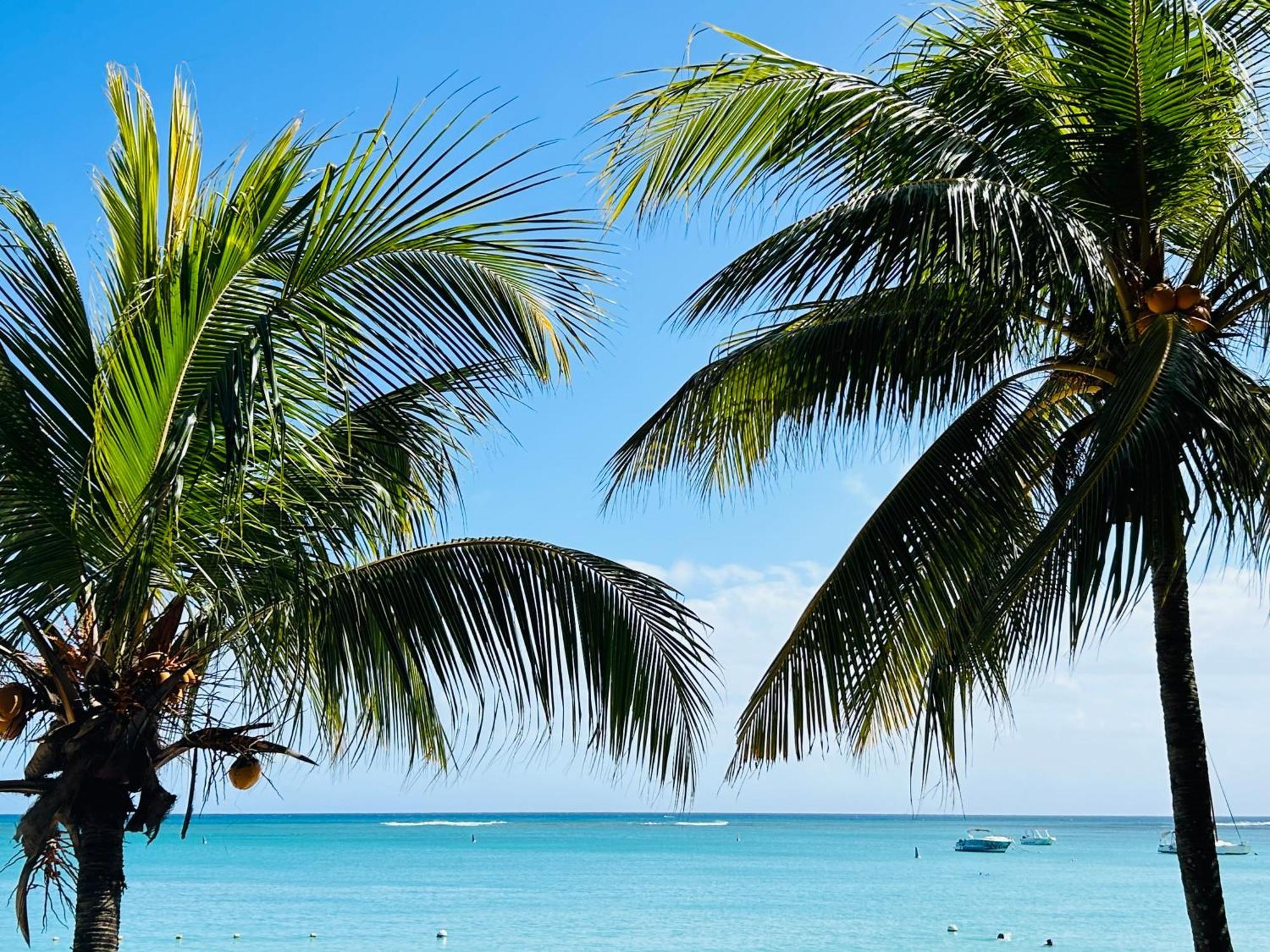 Villa Ellapen Pereybere Beach エクステリア 写真
